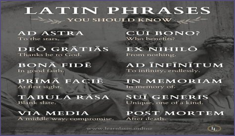 A Profile Of A Latin Beauty