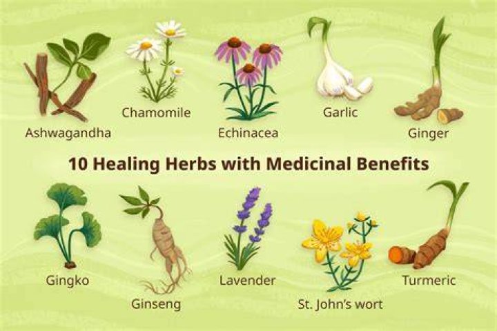 How many healing surges?
